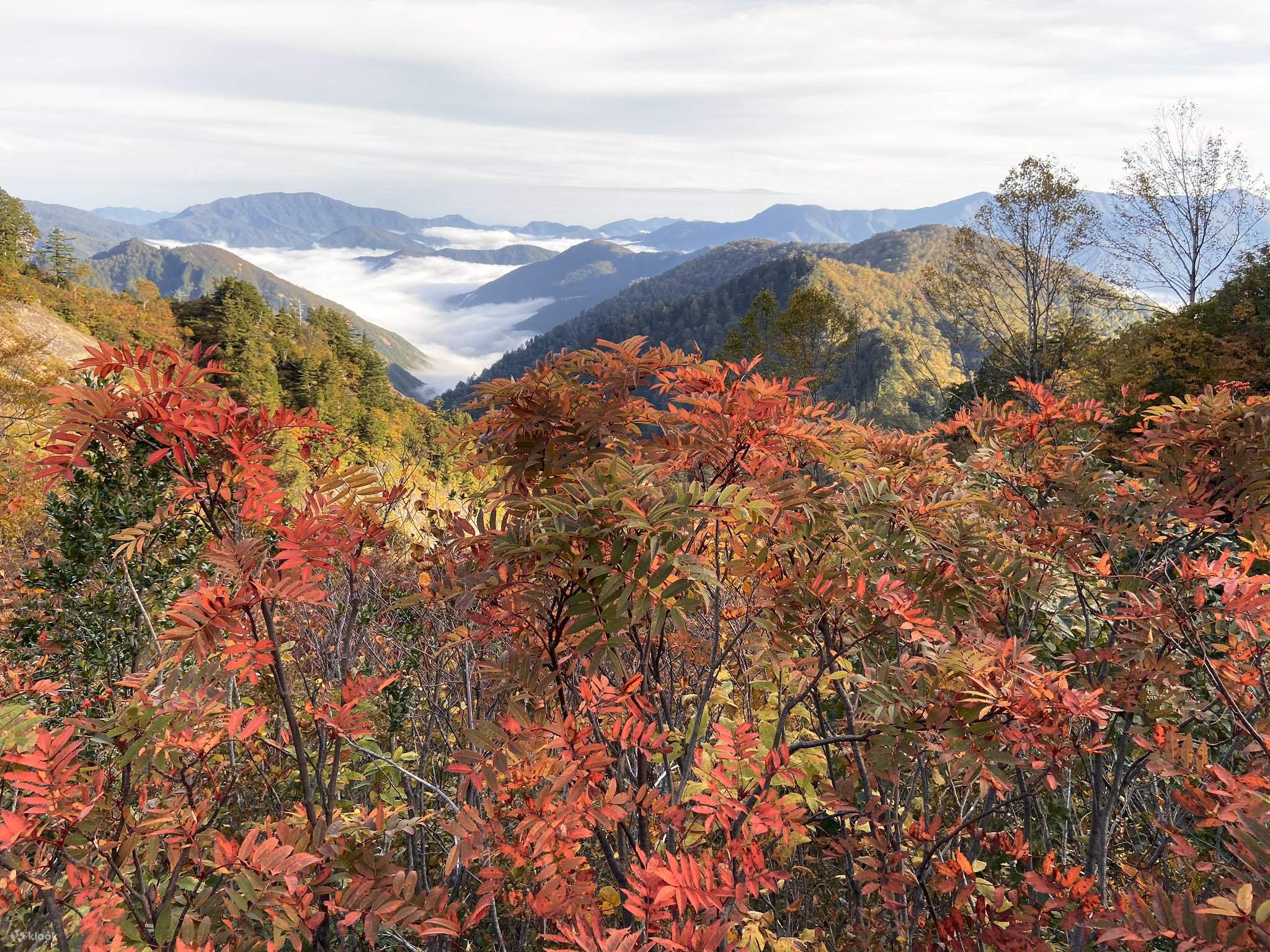 金沢発の風光明媚な白山白川郷ホワイトロードと白川郷 | Klook